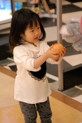 DSC02410