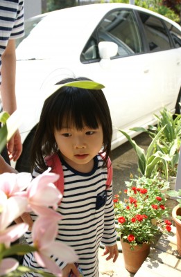 DSC03514