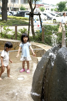 DSC02347