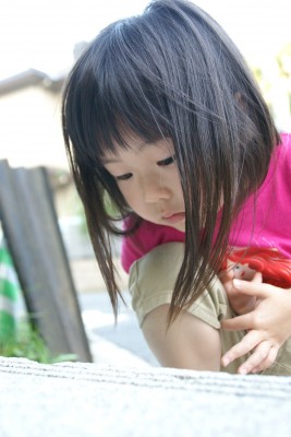 DSC07540