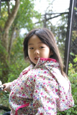 DSC04426