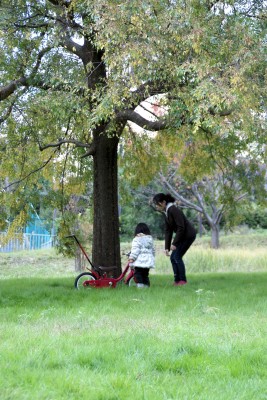 DSC04901