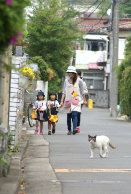 DSC040411