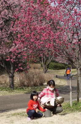 DSC034621