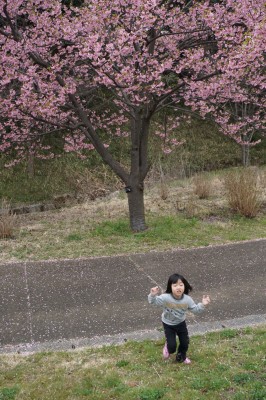 DSC03991