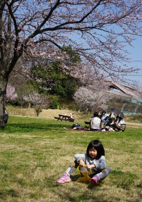 DSC049372