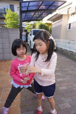 DSC08135