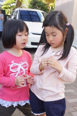 DSC08151