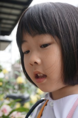 DSC09054