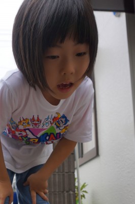DSC01446
