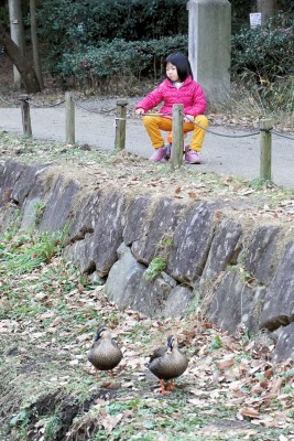 DSC01799